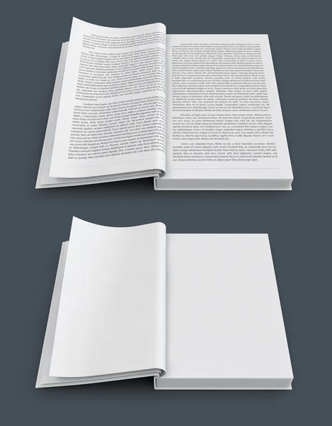 Открытые распространения книг с пустыми белыми страницами — стоковое фото