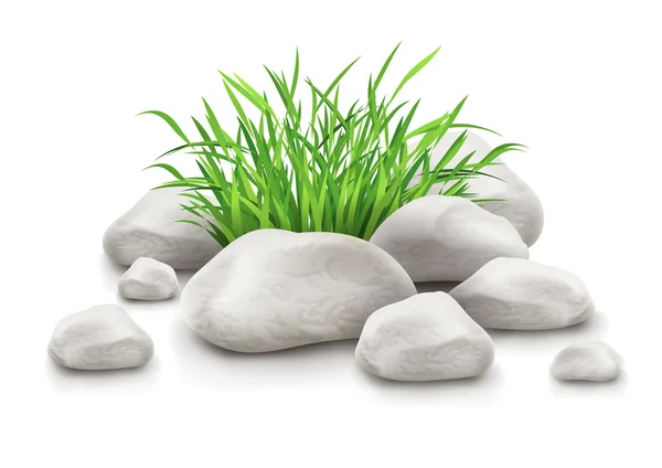 Зеленая трава в камни как элемент ландшафтного дизайна — стоковый вектор