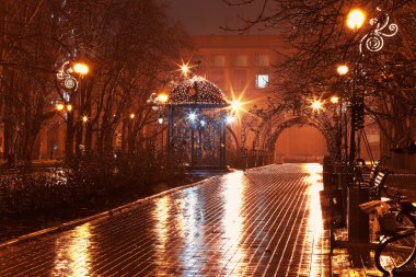 gece sokakta Şehir Parkı