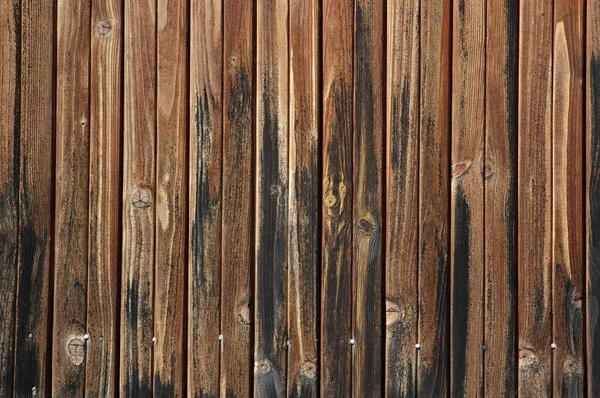Hermosa textura de madera — Foto de Stock