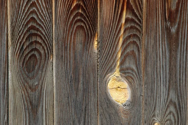 Prachtige houttextuur — Stockfoto