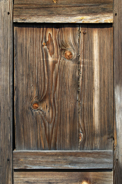 Beautiful wood texture close-up