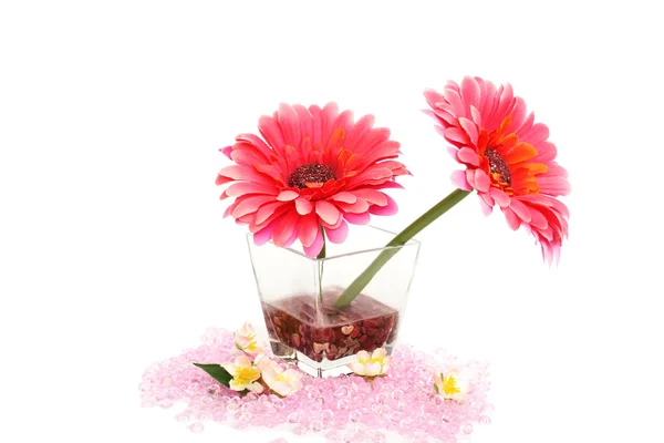 Blommor i vas — Stockfoto