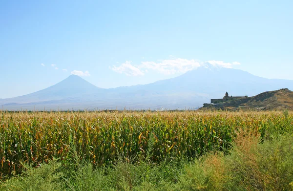 Khor Virap Εκκλησία και το βουνό Ararat — Φωτογραφία Αρχείου
