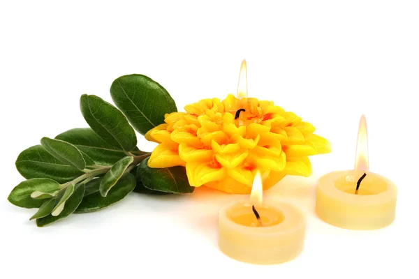 Gelbe Kerzen — Stockfoto