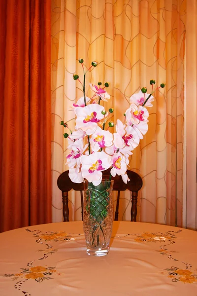 Orchids in vase — Stock Photo, Image