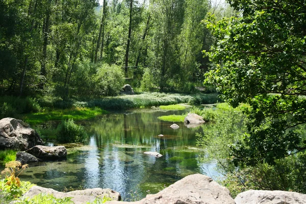 Lago no parque — Fotografia de Stock