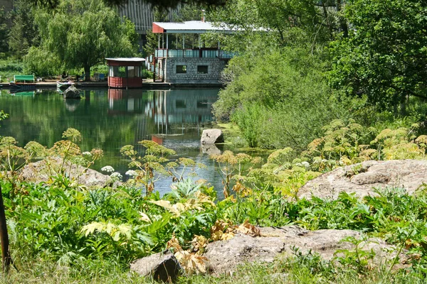 Lago in parco — Foto Stock