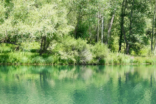 Lac dans le parc — Photo