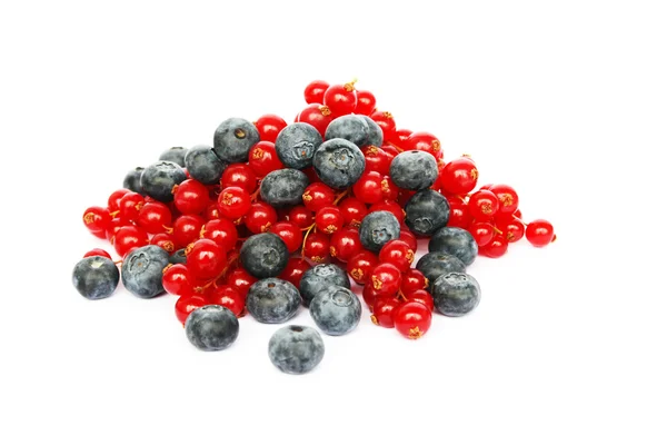 Berries — Stock Photo, Image