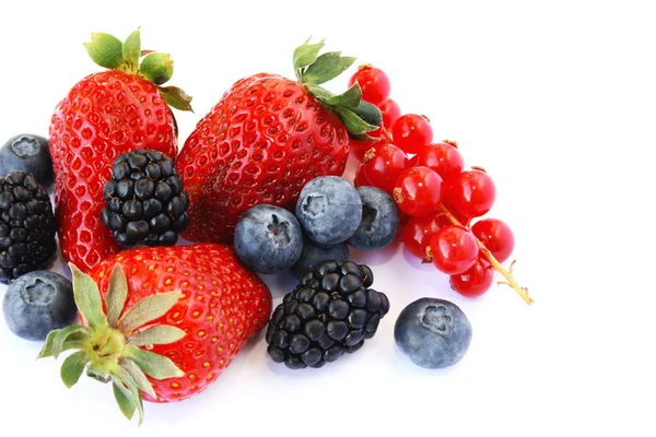 stock image Berries