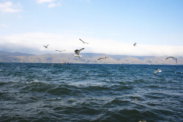 Lago Sevan — Foto de Stock