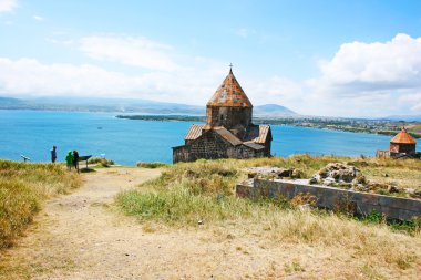 Sevan Gölü 'nde martı