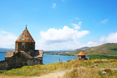 Seagull on lake Sevan clipart