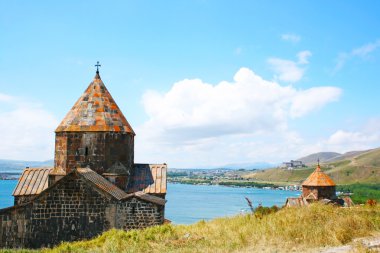 Sevan Gölü 'nde martı