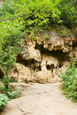 Caves at Devil Bridge clipart