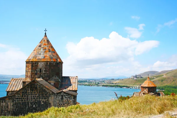 Zeemeeuw op het meer van Sevan — Stockfoto