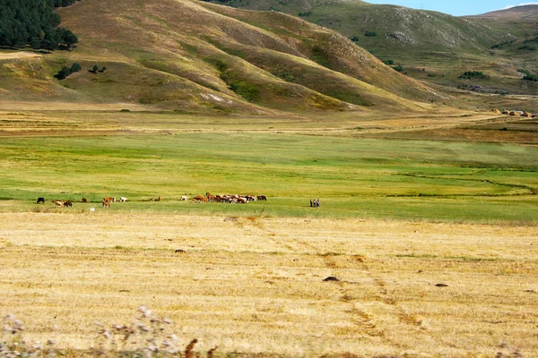 Landschap in Turkije — Stockfoto
