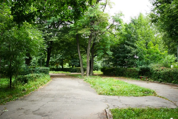 Sentier dans le parc — Photo