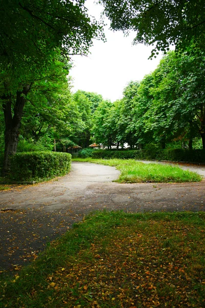 Parktaki patika — Stok fotoğraf