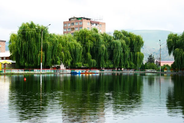 Willow trees at the lake — Stock Photo, Image