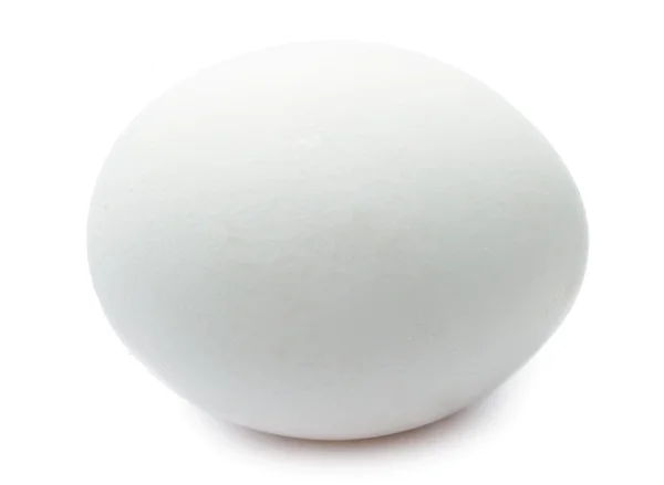 Ovo branco — Fotografia de Stock