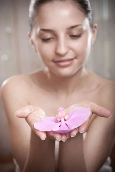 Orchid in hands — Stock Photo, Image