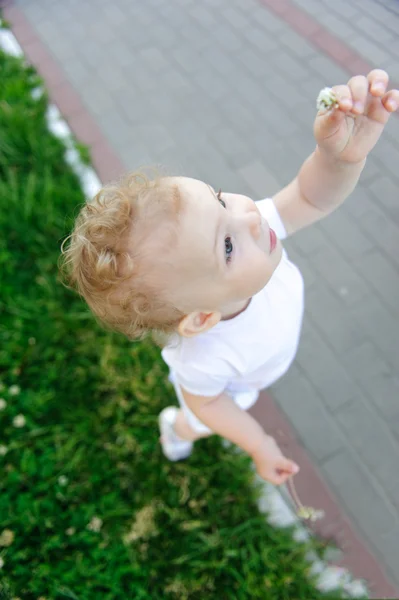 Menina bebê com flor — Fotografia de Stock