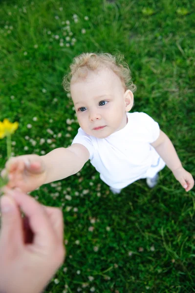 Baby girl with flower — Stock Photo, Image