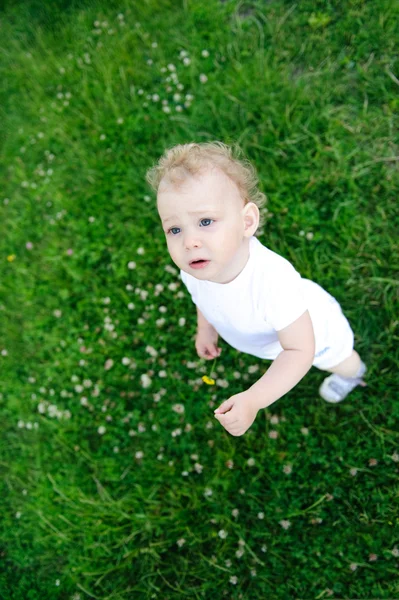 Cute child playing in green grass — Stock Photo, Image