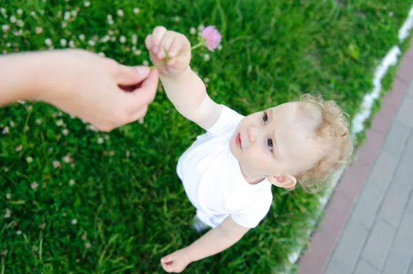 Menina bebê com flor — Fotografia de Stock