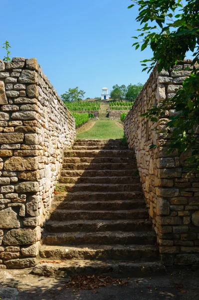Old stone stairs to the vineyards — Stock Photo, Image