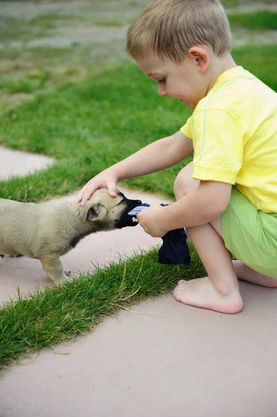 Mały chłopiec bawi się jego ładny pies — Zdjęcie stockowe
