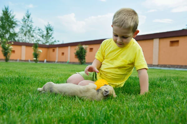 Küçük çocuk şirin köpeğiyle oynuyor — Stok fotoğraf