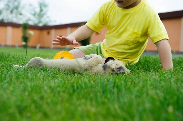 Menino brincando com seu cachorro bonito — Fotografia de Stock