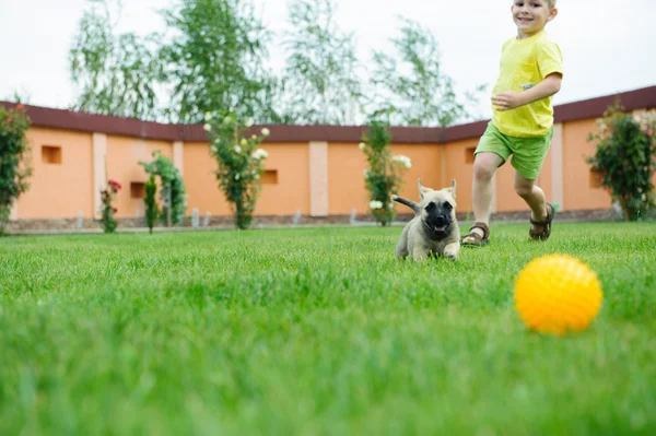 Pequeño niño está corriendo con su perro — Foto de Stock