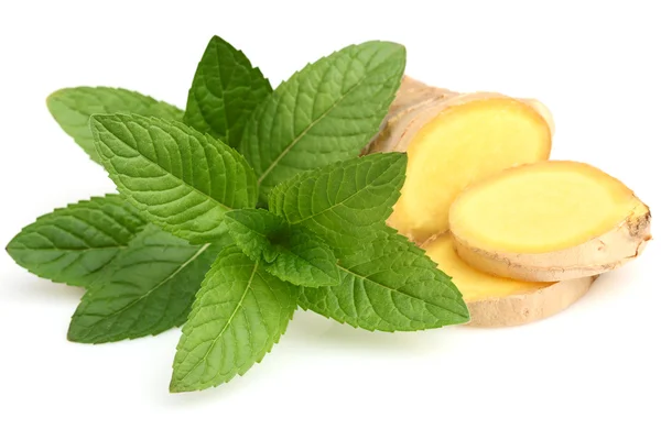 Peppermint with ginger — Stock Photo, Image