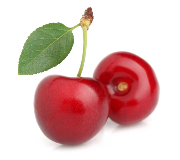 Sweet cherry med blad — Stockfoto