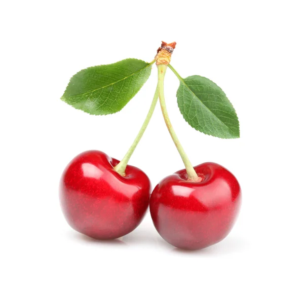 Dwa świeże wiśni — Zdjęcie stockowe