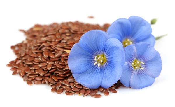 Dried seeds of flax with flowers — Stock Photo, Image