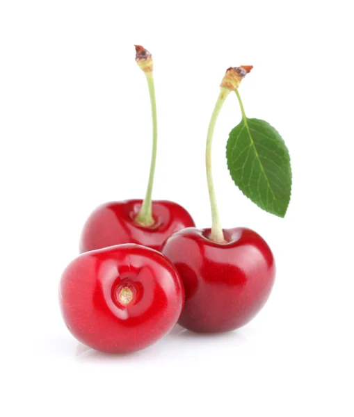 Cherry med blad — Stockfoto