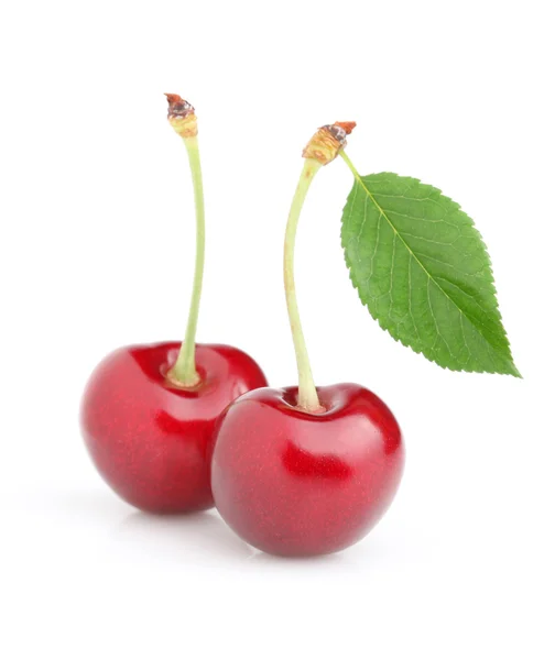 Čerstvá cherry s listy — Stock fotografie