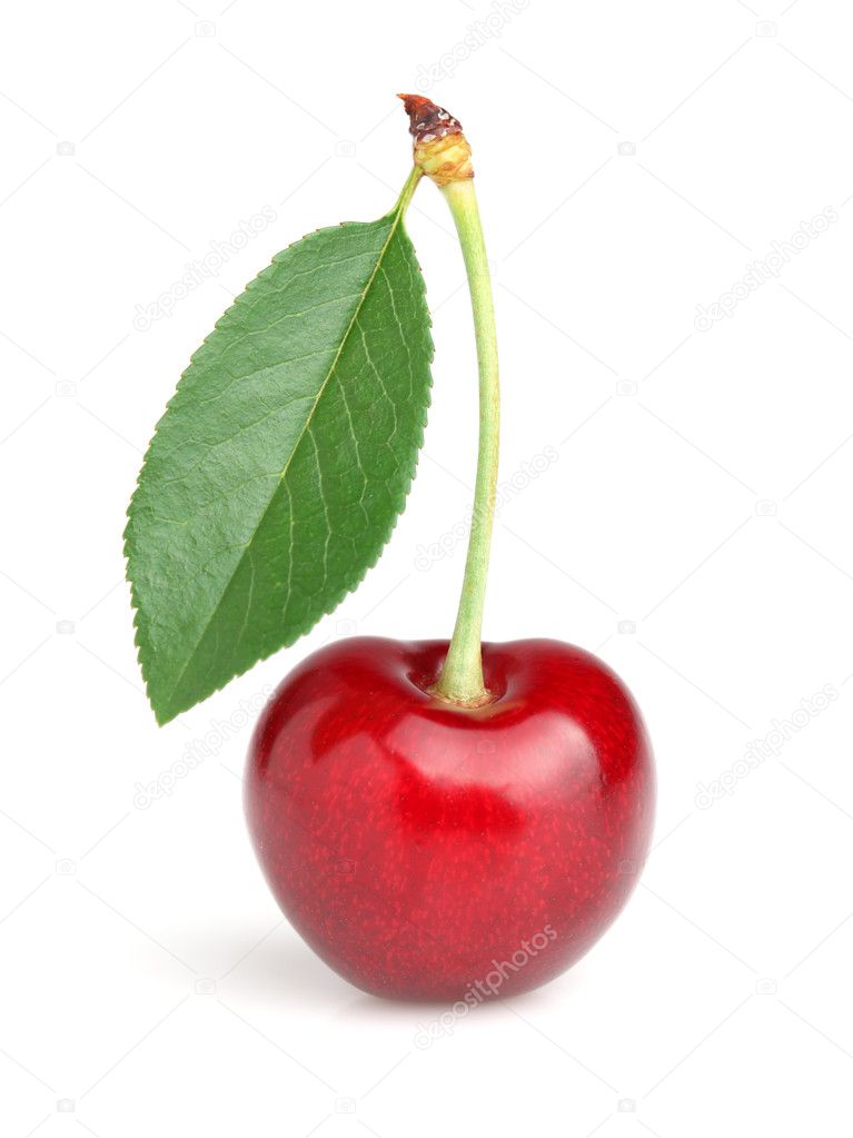 Sweet ripe cherry with leaf