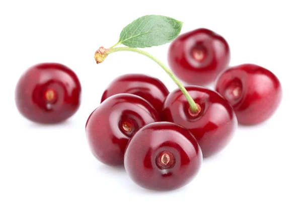 Sweet cherry with leaf — Stock Photo, Image