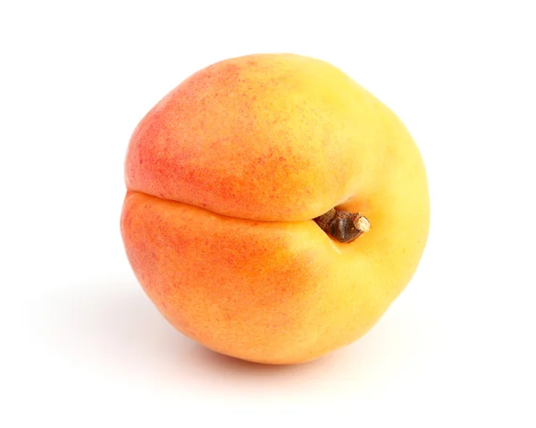 Fresh apricot in closeup — Stock Photo, Image