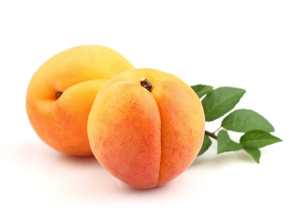 Ripe apricots with leaves — Stock Photo, Image