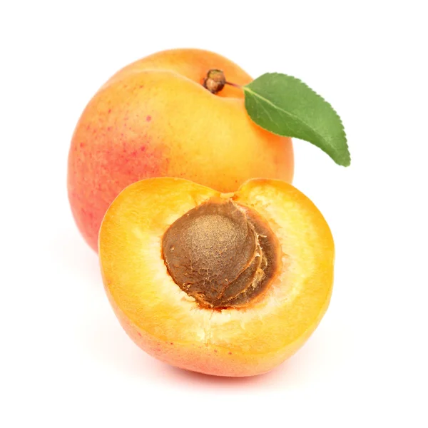Apricot in closeup — Stock Photo, Image