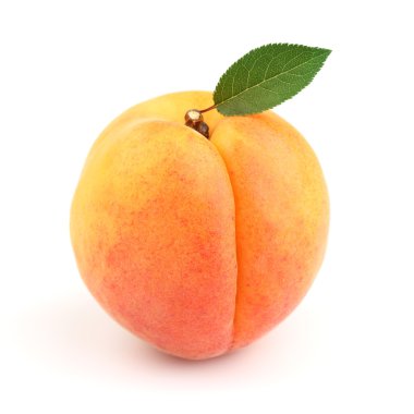 Sweet ripe apricot with leaves clipart
