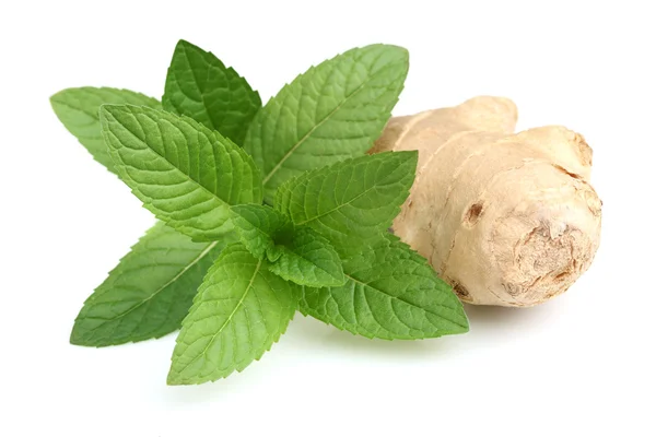 Mint with ginger in closeup — Stock Photo, Image