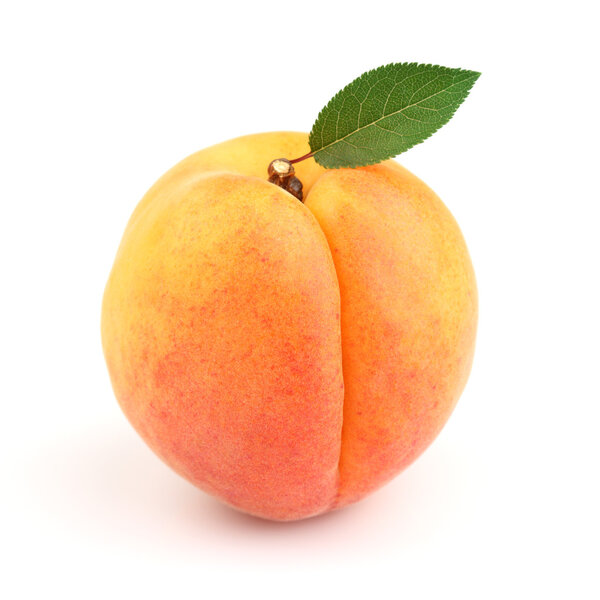 Sweet ripe apricot with leaves